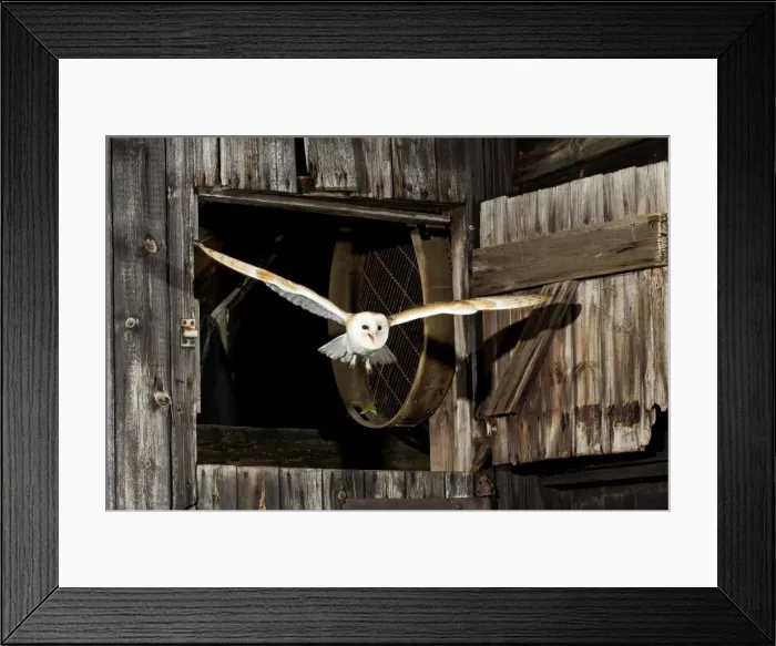 Framed Print : Picture No. 10886059 Framed Print : Picture No. 10886059
