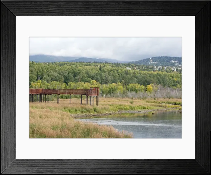Framed Print : Picture No. 10886087