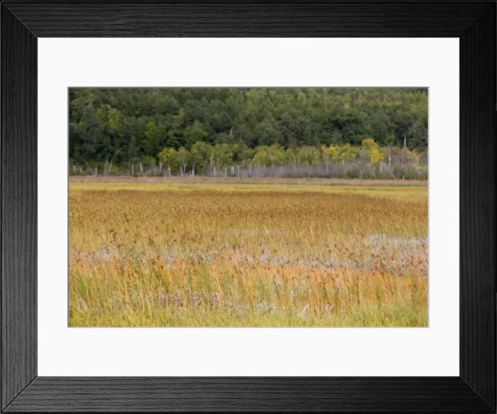 Framed Print : Picture No. 10886089 Framed Print : Picture No. 10886089