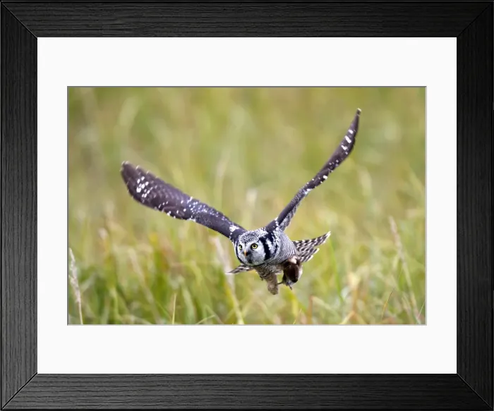 Framed Print : Picture No. 10886112 Framed Print : Picture No. 10886112