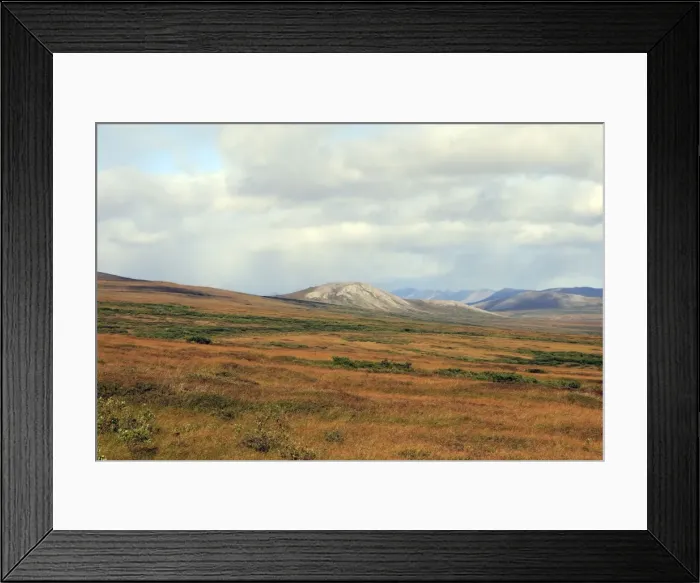 Framed Print : Picture No. 10886119 Framed Print : Picture No. 10886119