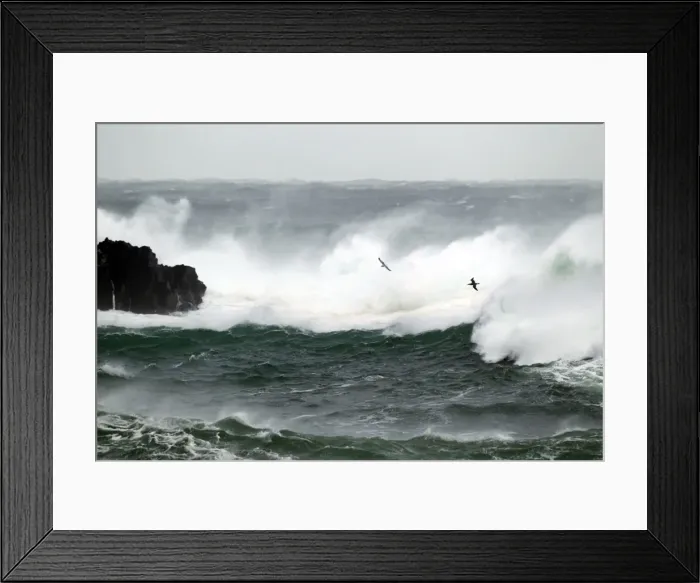 Framed Print : Picture No. 10886134 Framed Print : Picture No. 10886134