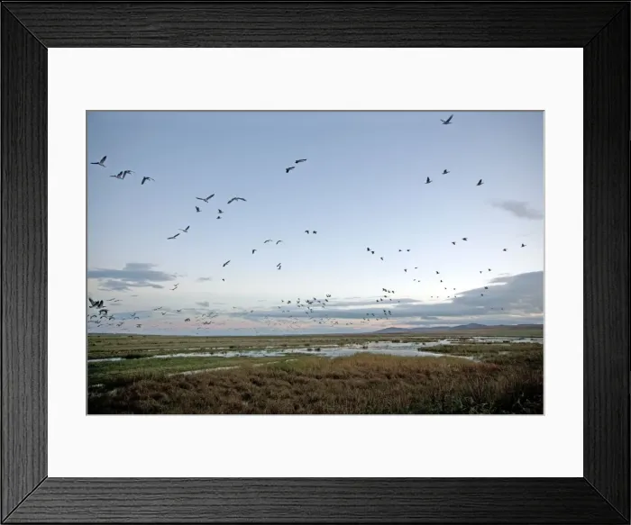 Framed Print : Picture No. 10886139 Framed Print : Picture No. 10886139
