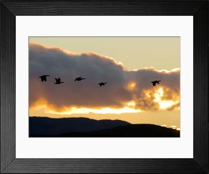Framed Print : Picture No. 10886142 Framed Print : Picture No. 10886142