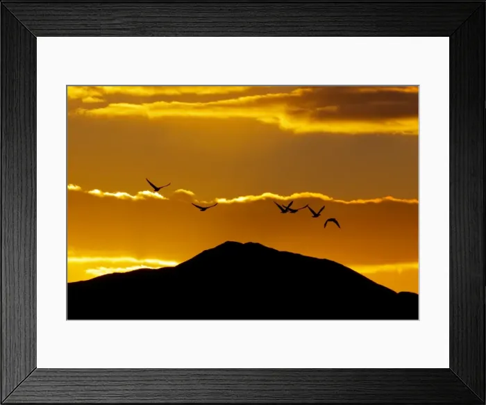 Framed Print : Picture No. 10886144 Framed Print : Picture No. 10886144