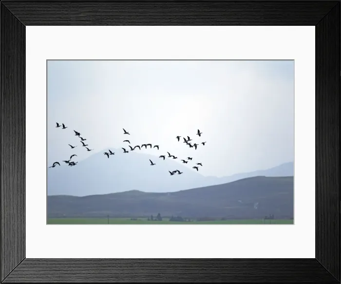 Framed Print : Picture No. 10886146 Framed Print : Picture No. 10886146
