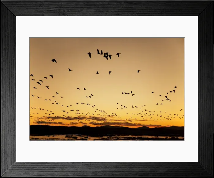 Framed Print : Picture No. 10886140 Framed Print : Picture No. 10886140