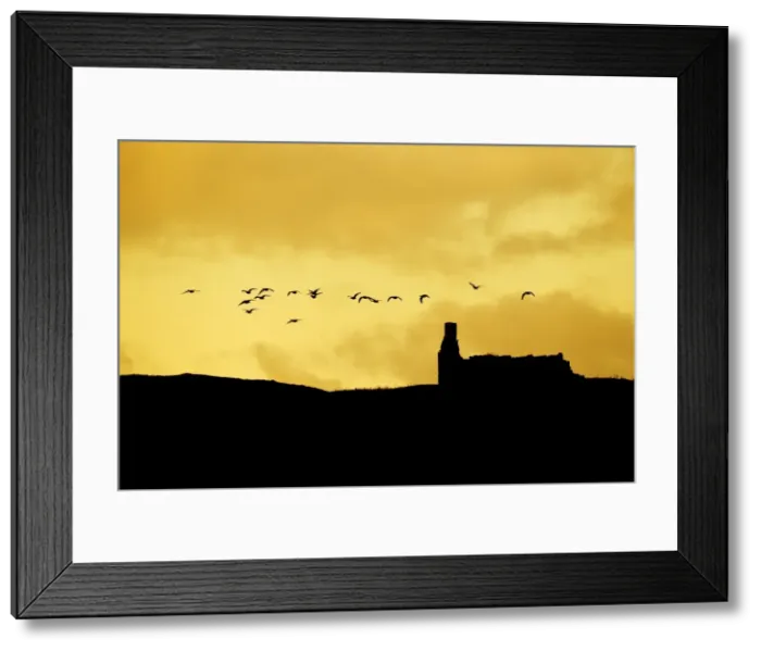 Framed Print : Picture No. 10886152 Framed Print : Picture No. 10886152