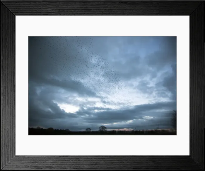 Framed Print : Picture No. 10886159 Framed Print : Picture No. 10886159