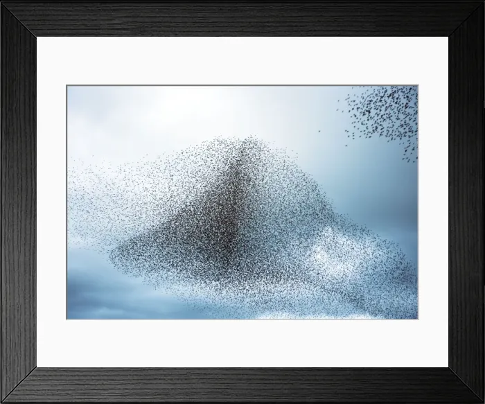 Framed Print : Picture No. 10886160 Framed Print : Picture No. 10886160