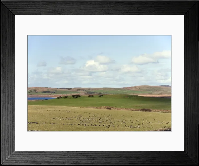 Framed Print : Picture No. 10886155