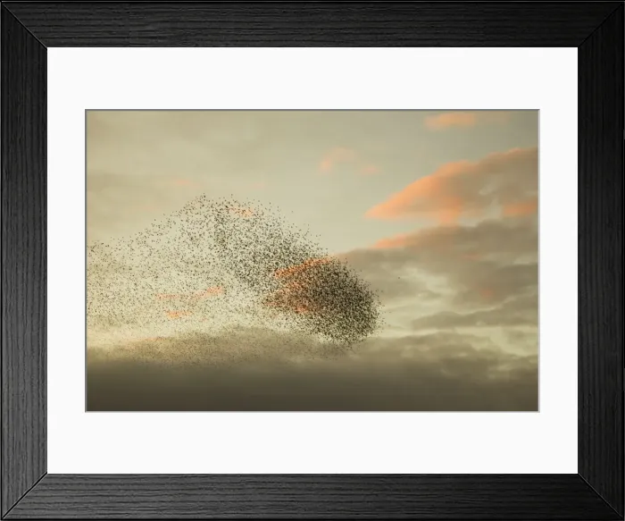 Framed Print : Picture No. 10886163 Framed Print : Picture No. 10886163