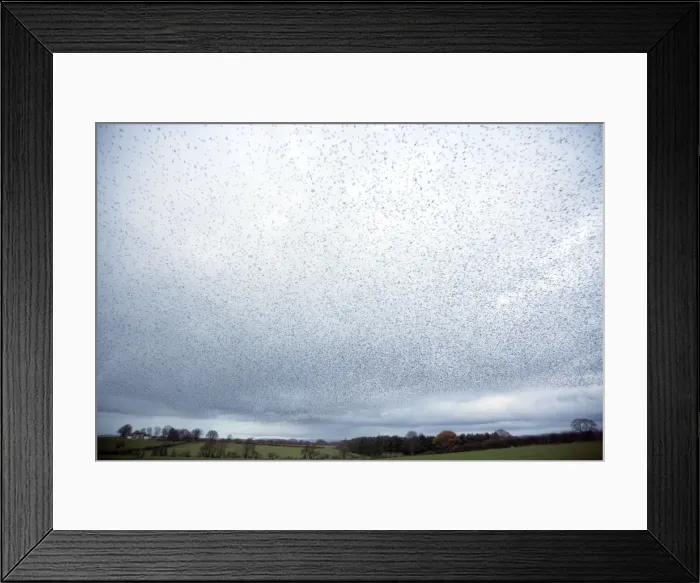Framed Print : Picture No. 10886161 Framed Print : Picture No. 10886161