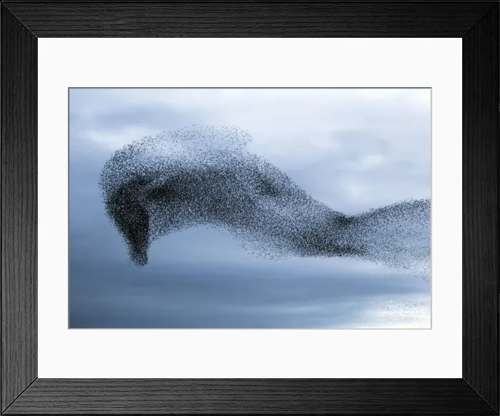 Framed Print : Picture No. 10886164 Framed Print : Picture No. 10886164