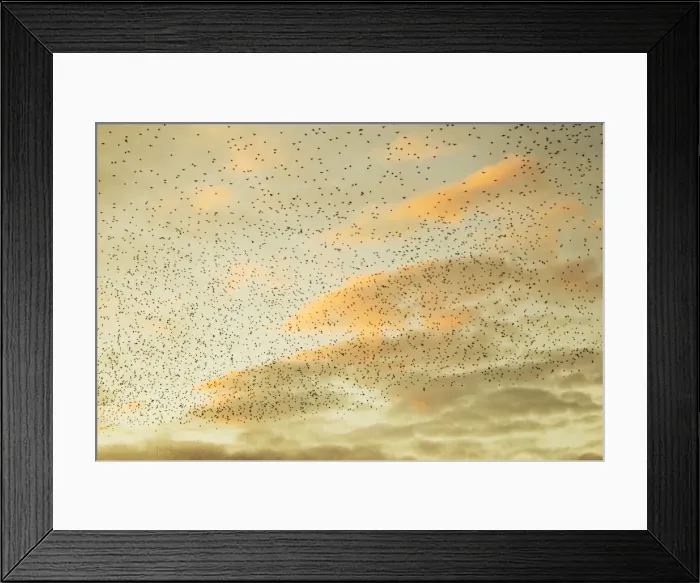 Framed Print : Picture No. 10886162 Framed Print : Picture No. 10886162