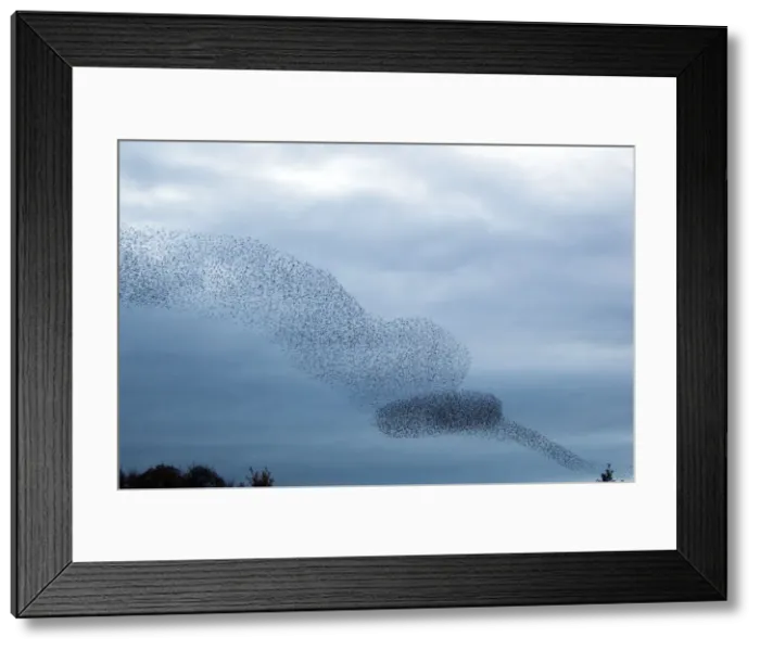 Framed Print : Picture No. 10886165 Framed Print : Picture No. 10886165