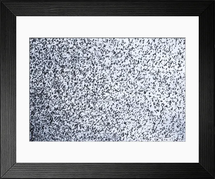 Framed Print : Picture No. 10886167 Framed Print : Picture No. 10886167