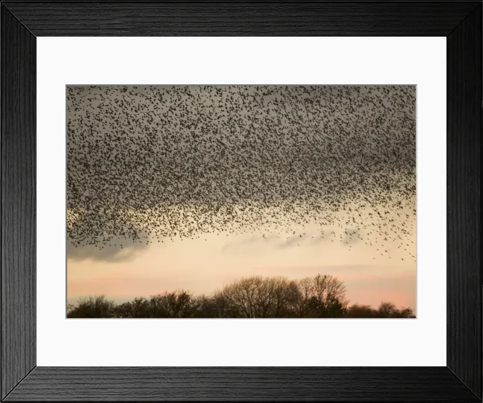 Framed Print : Picture No. 10886171 Framed Print : Picture No. 10886171