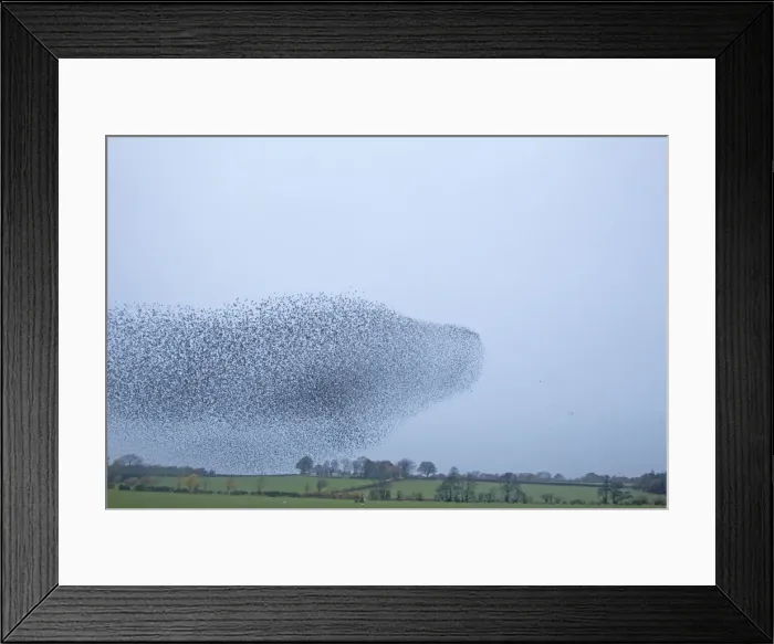 Framed Print : Picture No. 10886170 Framed Print : Picture No. 10886170