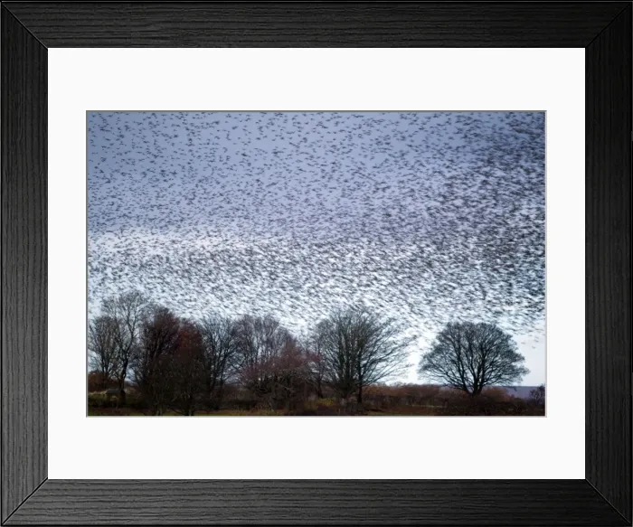 Framed Print : Picture No. 10886172 Framed Print : Picture No. 10886172