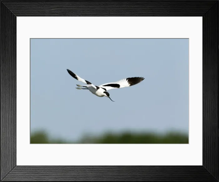Framed Print : Picture No. 10886251 Framed Print : Picture No. 10886251