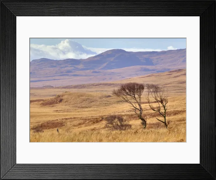 Framed Print : Picture No. 10886297 Framed Print : Picture No. 10886297