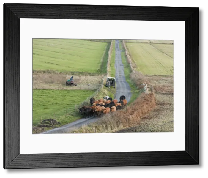 Framed Print : Picture No. 10886305 Framed Print : Picture No. 10886305