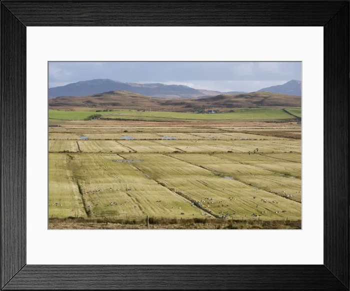 Framed Print : Picture No. 10886304 Framed Print : Picture No. 10886304