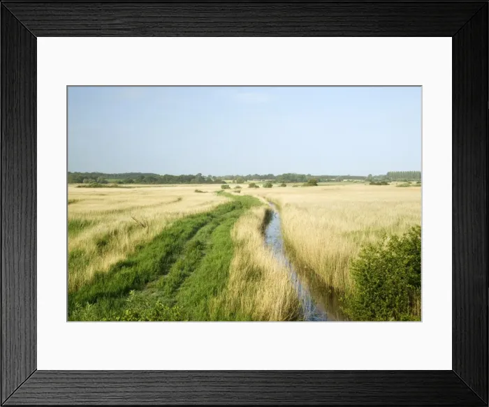Framed Print : Picture No. 10886308 Framed Print : Picture No. 10886308