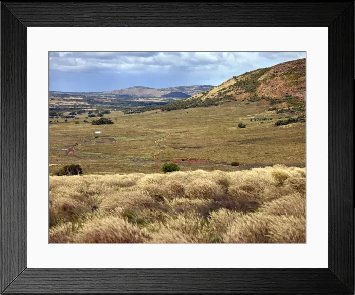 Framed Print : Picture No. 10886327 Framed Print : Picture No. 10886327