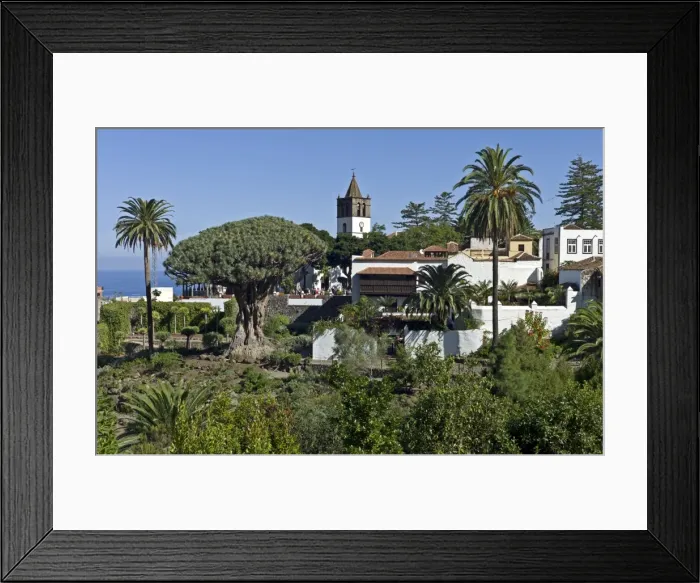 Framed Print : Picture No. 10886325 Framed Print : Picture No. 10886325