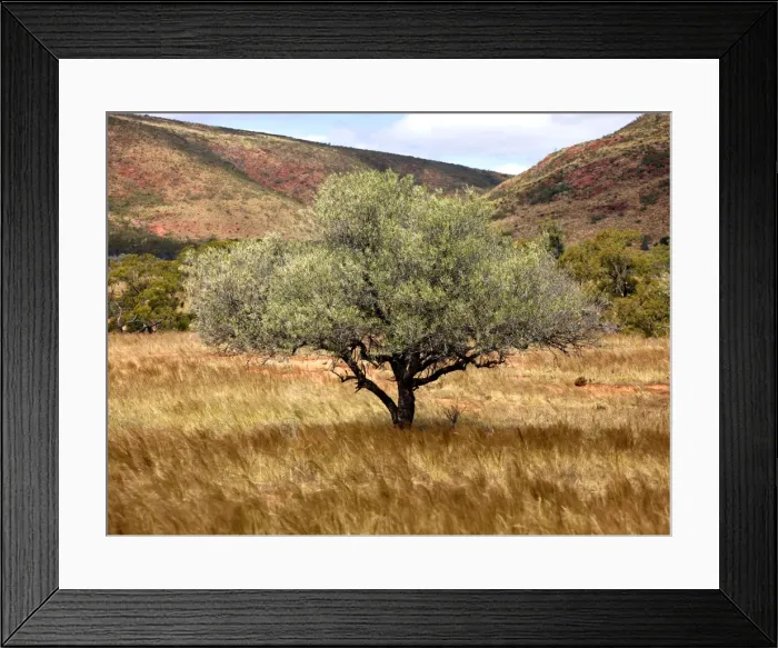 Framed Print : Picture No. 10886329 Framed Print : Picture No. 10886329