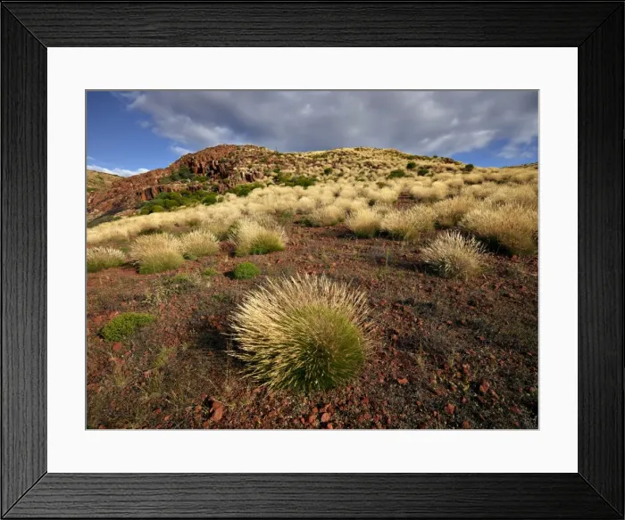 Framed Print : Picture No. 10886333 Framed Print : Picture No. 10886333