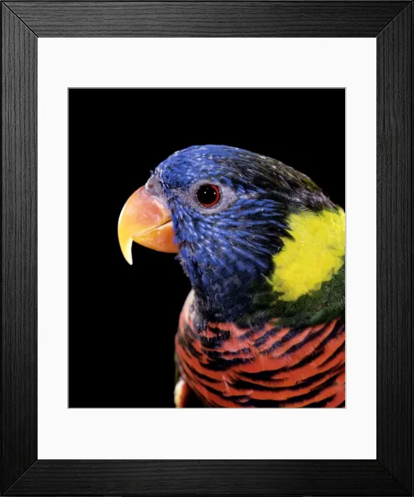 Framed Print : Picture No. 10886386 Framed Print : Picture No. 10886386