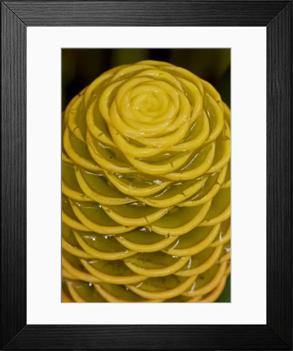 Framed Print : Picture No. 10886599 Framed Print : Picture No. 10886599