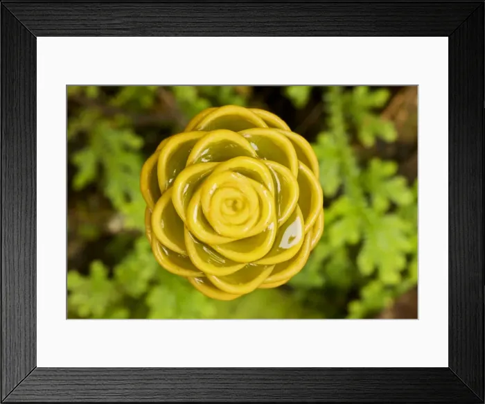Framed Print : Picture No. 10886597 Framed Print : Picture No. 10886597