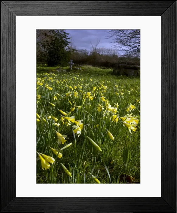 Framed Print : Picture No. 10886612 Framed Print : Picture No. 10886612
