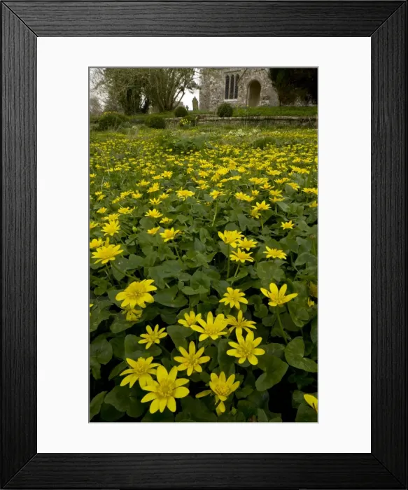 Framed Print : Picture No. 10886614 Framed Print : Picture No. 10886614