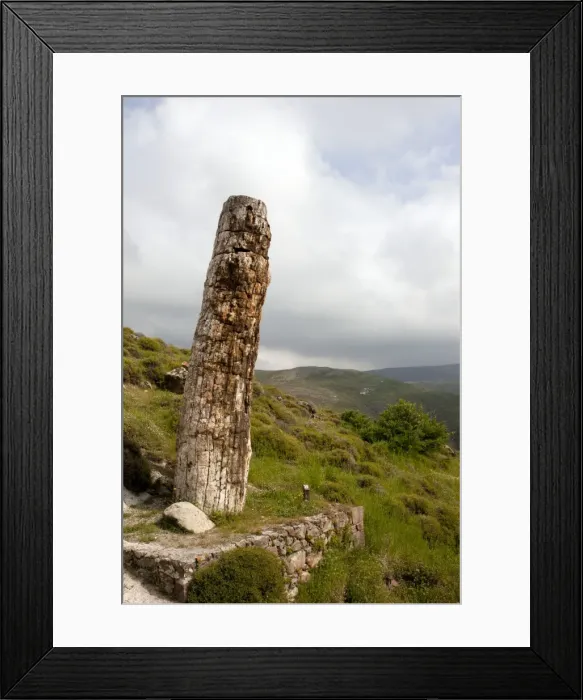 Framed Print : Picture No. 10886623 Framed Print : Picture No. 10886623