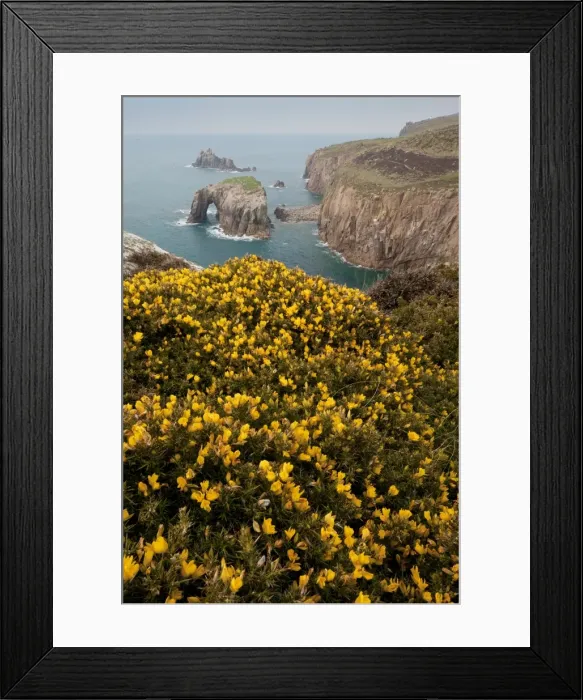 Framed Print : Picture No. 10886622 Framed Print : Picture No. 10886622
