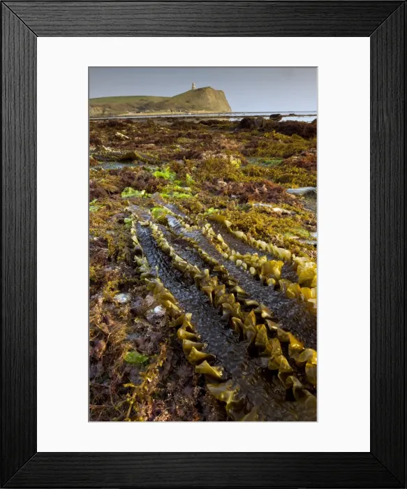 Framed Print : Picture No. 10886631