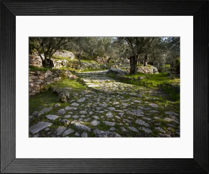 Framed Print : Picture No. 10886638
