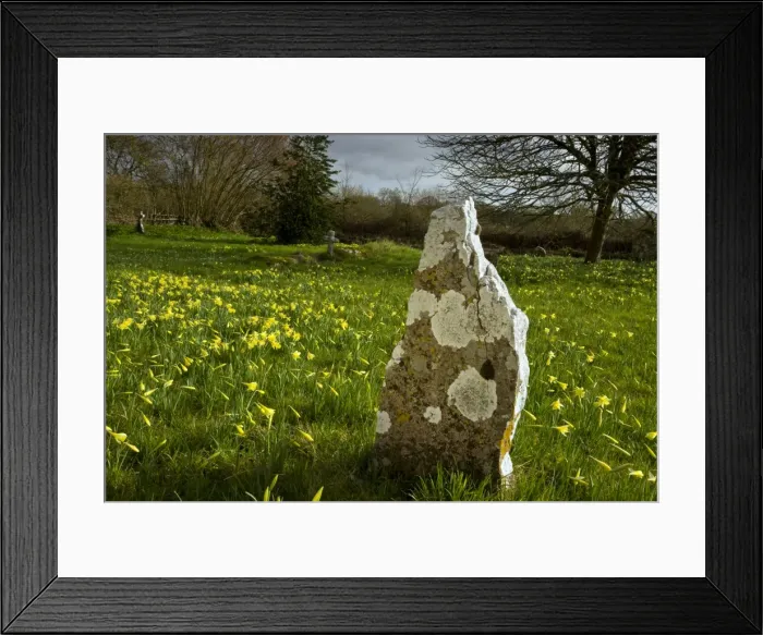 Framed Print : Picture No. 10886635 Framed Print : Picture No. 10886635