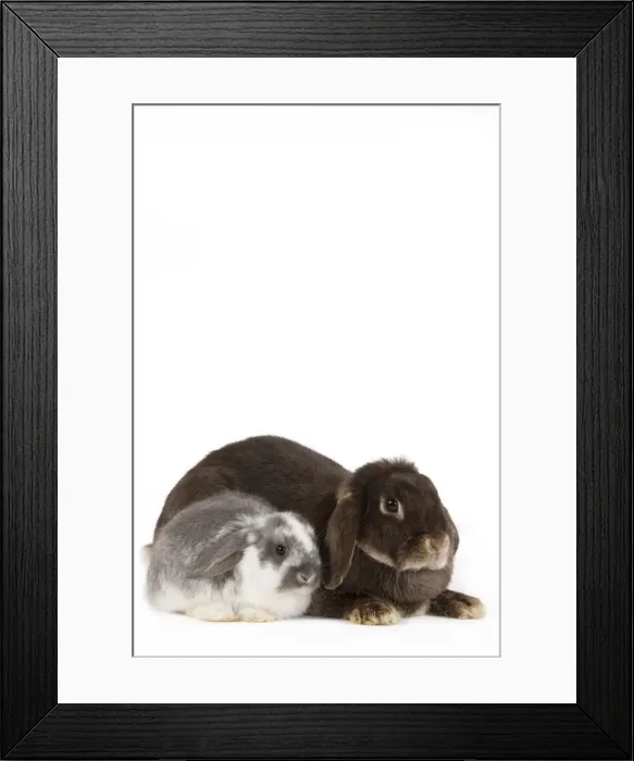 Framed Print : Picture No. 10886673 Framed Print : Picture No. 10886673