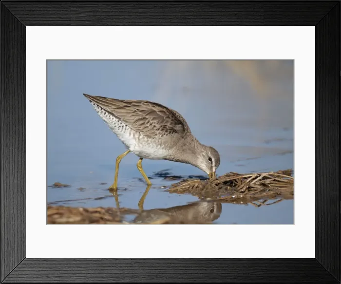 Framed Print : Picture No. 10885314 Framed Print : Picture No. 10885314