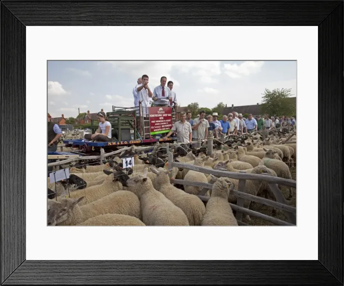 Framed Print : Picture No. 10885393 Framed Print : Picture No. 10885393