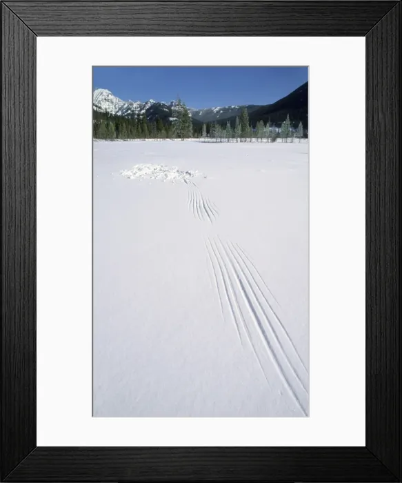 Framed Print : Picture No. 10885334 Framed Print : Picture No. 10885334