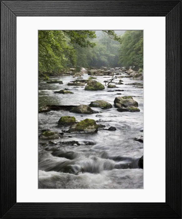 Framed Print : Picture No. 10885402 Framed Print : Picture No. 10885402