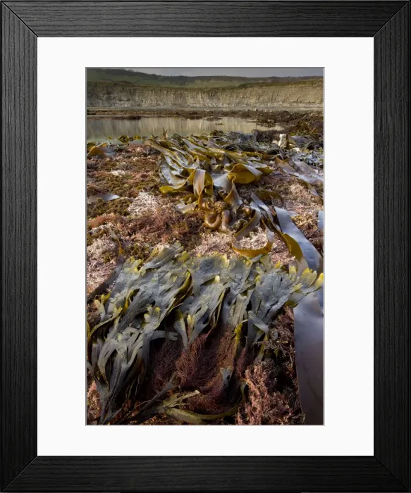 Framed Print : Picture No. 10886766 Framed Print : Picture No. 10886766