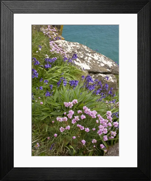 Framed Print : Picture No. 10886772 Framed Print : Picture No. 10886772